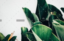 demo-attachment-385-kiki-siepel-787802-unsplash